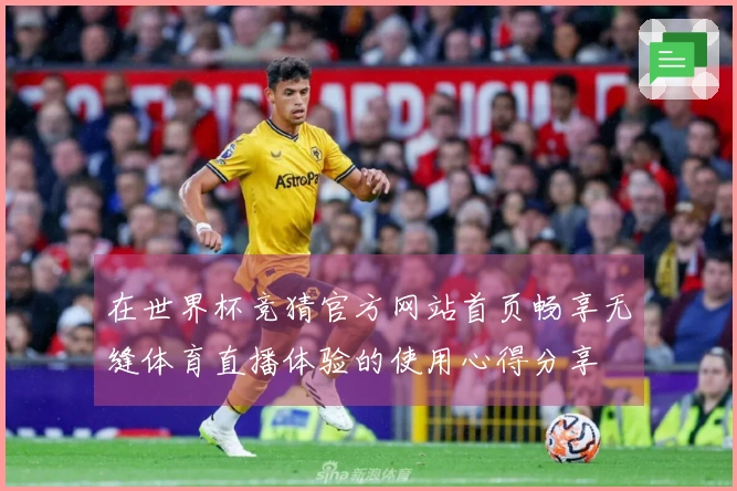 在世界杯竞猜官方网站首页畅享无缝体育直播体验的使用心得分享