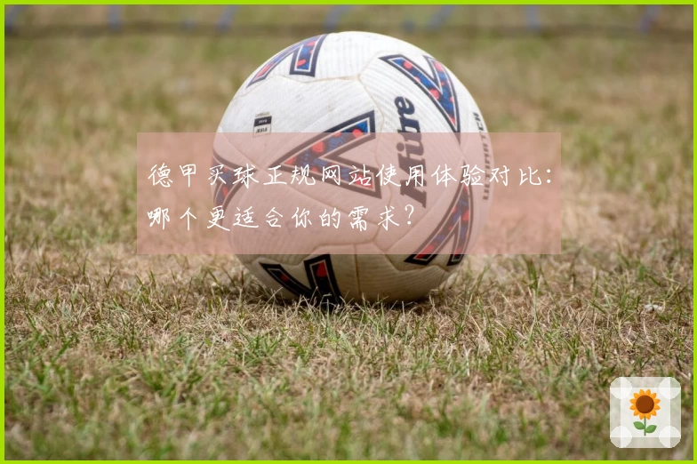德甲买球正规网站使用体验对比：哪个更适合你的需求？