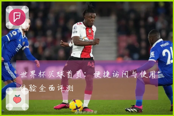 世界杯买球首页：便捷访问与使用体验全面评测