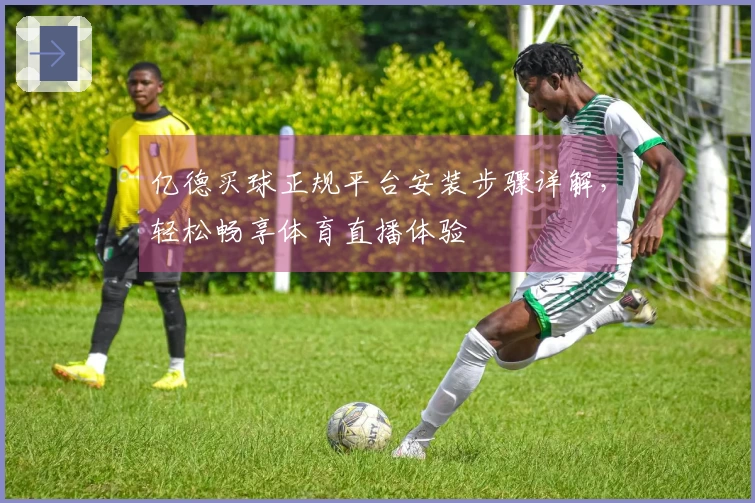 亿德买球正规平台安装步骤详解，轻松畅享体育直播体验