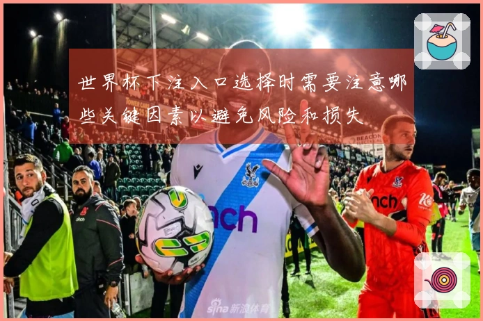 世界杯下注入口选择时需要注意哪些关键因素以避免风险和损失