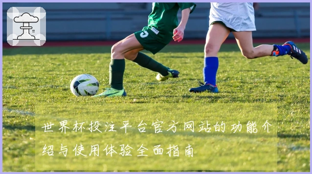 世界杯投注平台官方网站的功能介绍与使用体验全面指南