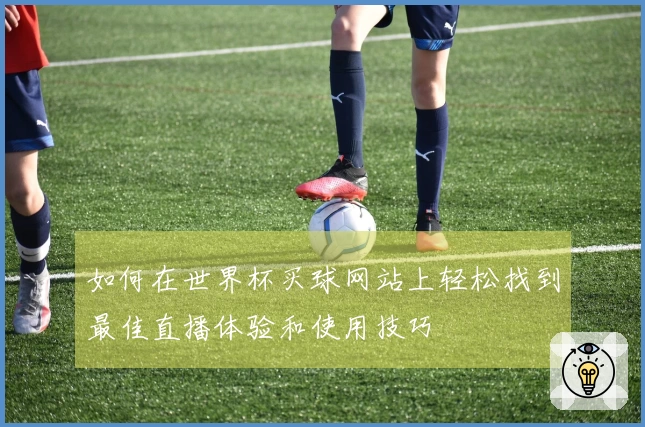 如何在世界杯买球网站上轻松找到最佳直播体验和使用技巧