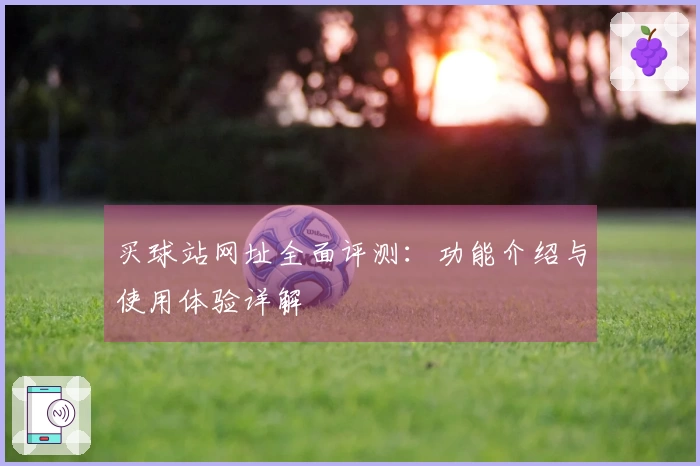 买球站网址全面评测：功能介绍与使用体验详解