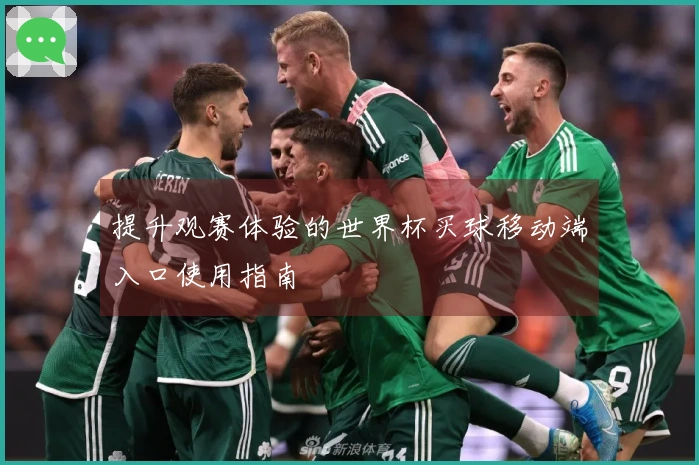 提升观赛体验的世界杯买球移动端入口使用指南