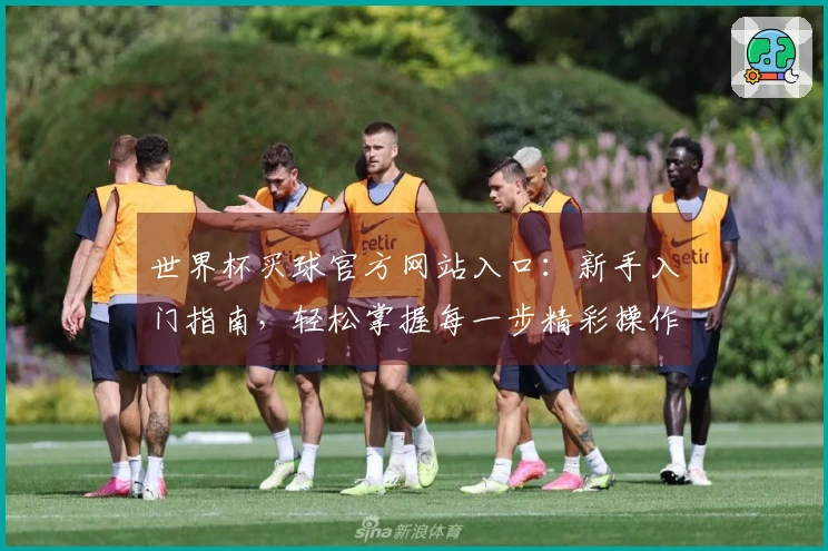 世界杯买球官方网站入口：新手入门指南，轻松掌握每一步精彩操作