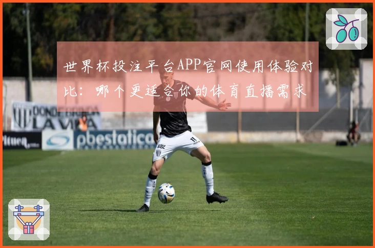 世界杯投注平台APP官网使用体验对比：哪个更适合你的体育直播需求？