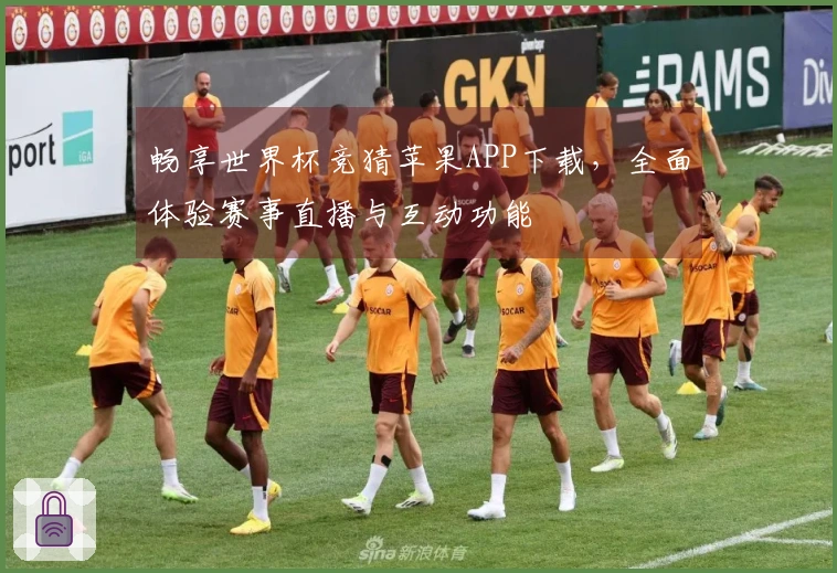 畅享世界杯竞猜苹果APP下载，全面体验赛事直播与互动功能