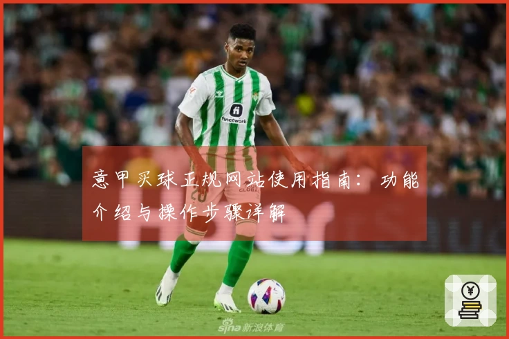 意甲买球正规网站使用指南：功能介绍与操作步骤详解