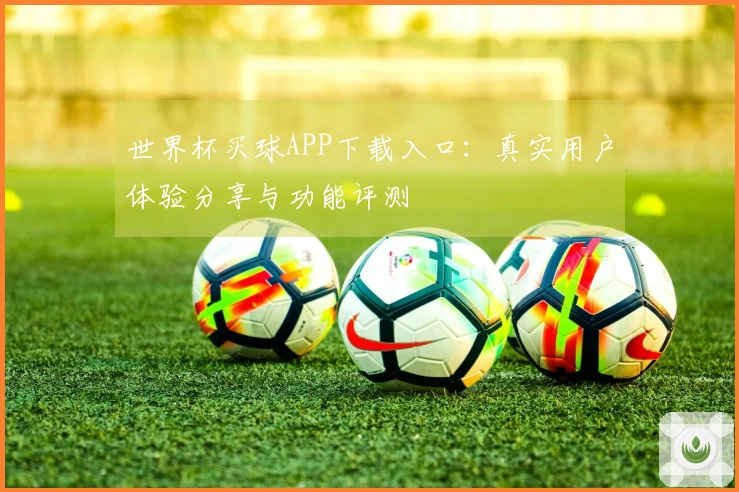 世界杯买球APP下载入口:真实用户体验分享与功能评测